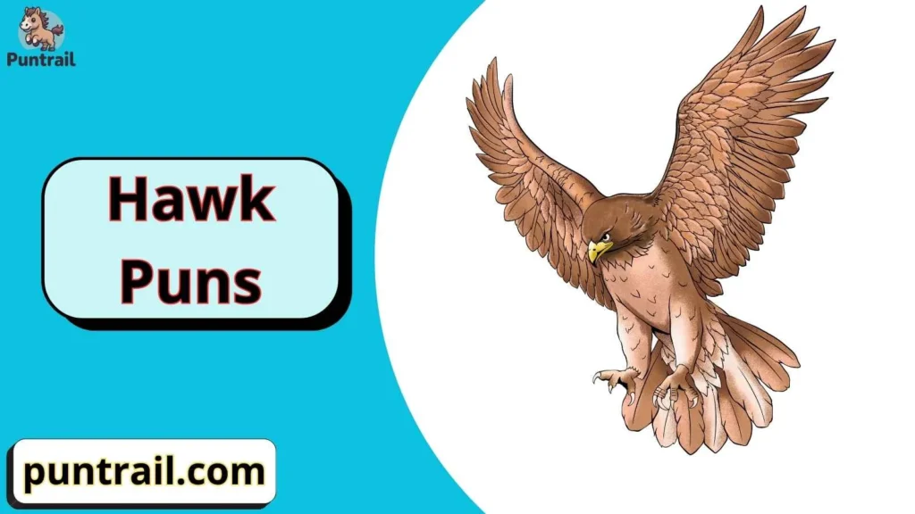 Hawk Jokes for Kids
