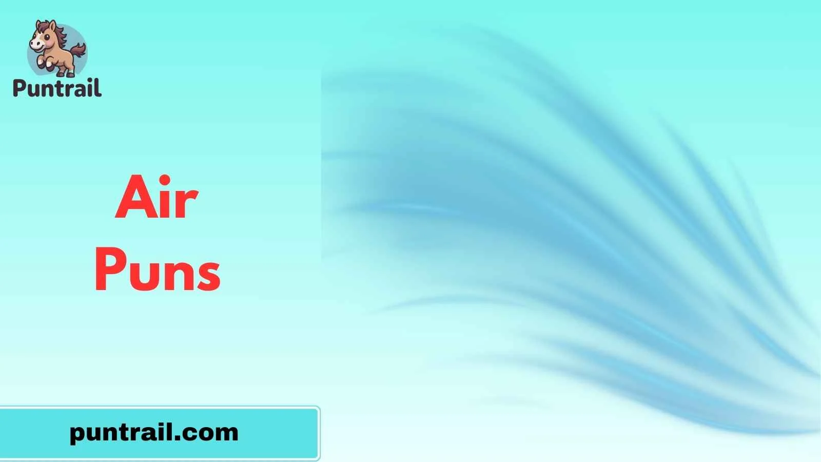 Air Puns