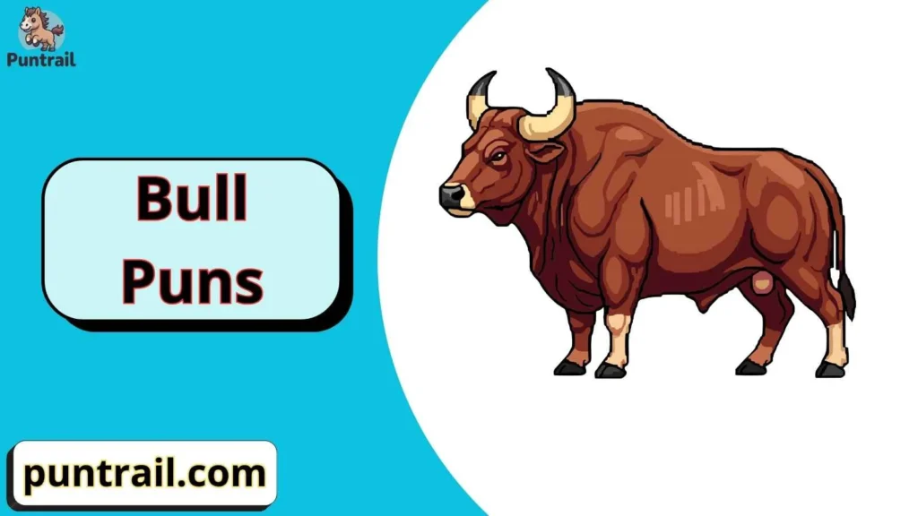 Bull Jokes for Adults