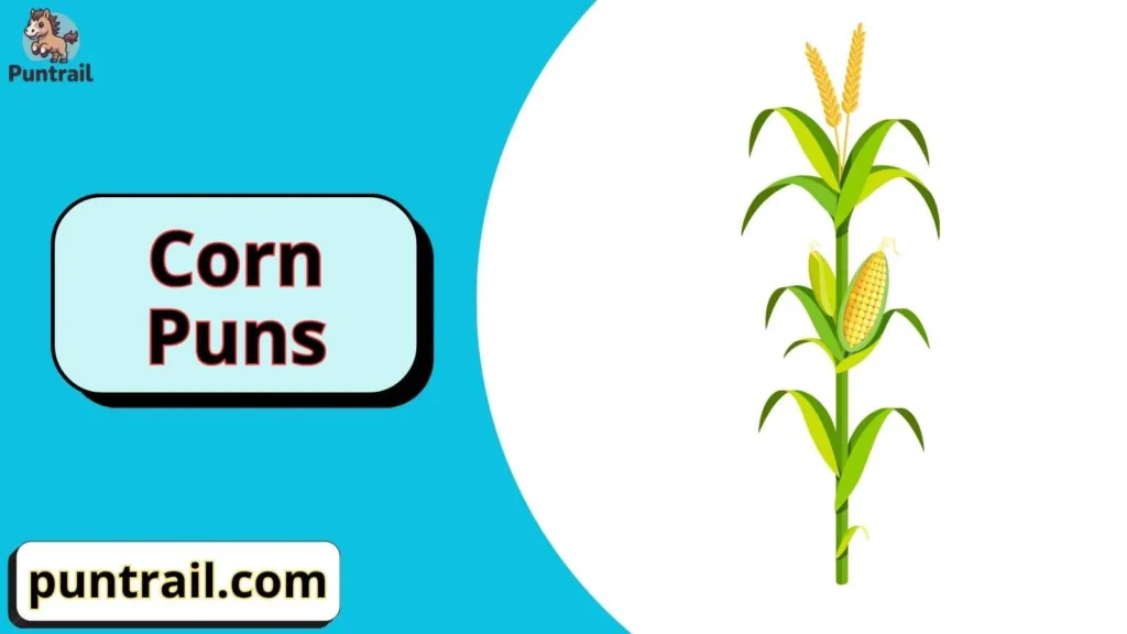 Corn Puns One Liners