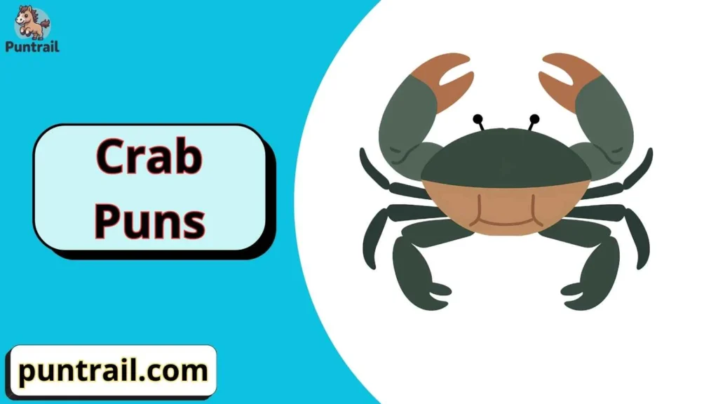 Crab jokes for adults