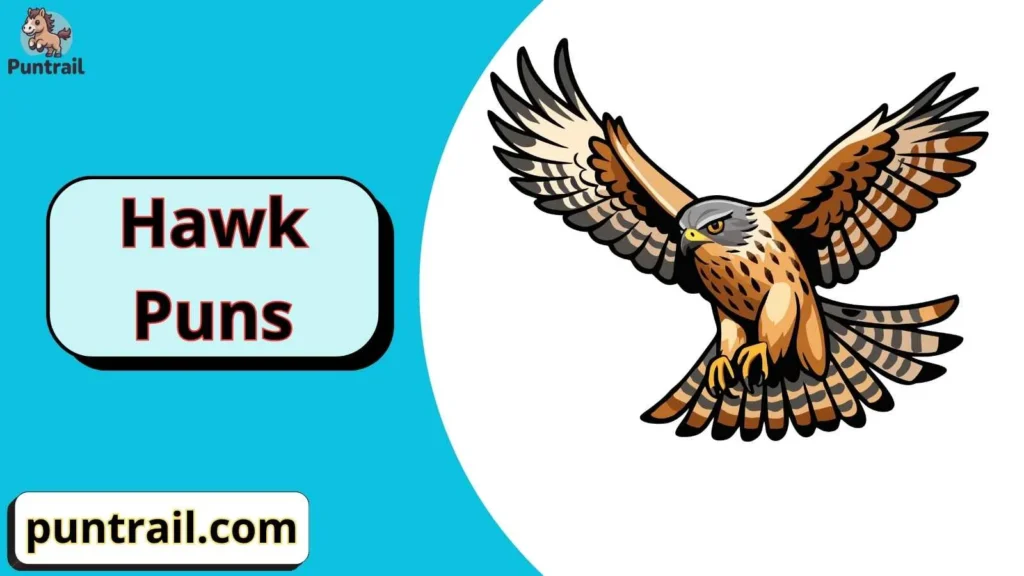 Hawk Puns One Liners