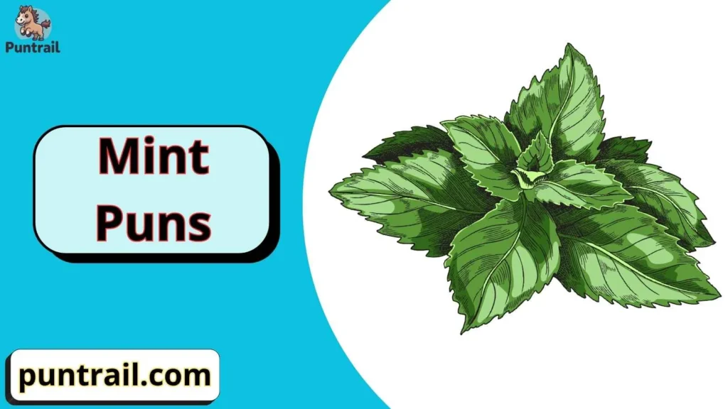 Mint Puns One Liners
