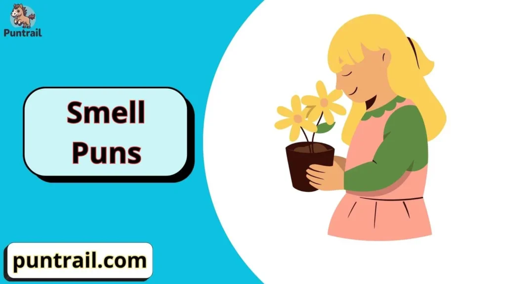 Smell Puns One Liners
