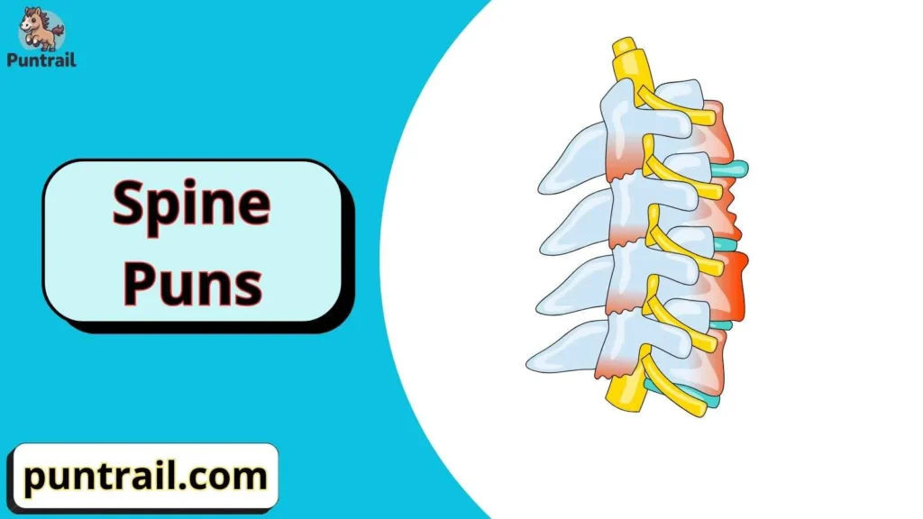 Spine Puns One Liners