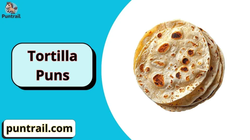 Tortilla Puns Captions