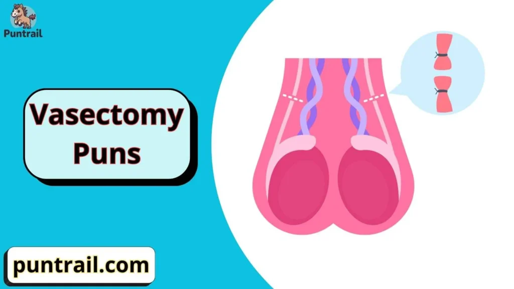 Vasectomy puns one liners