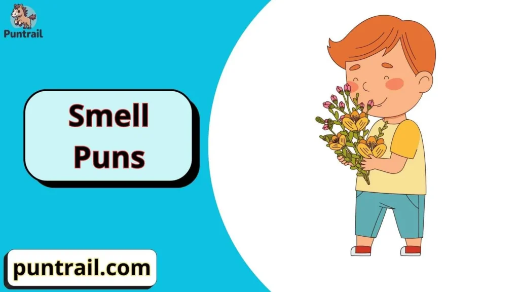 You Smell Like Jokes for Adults