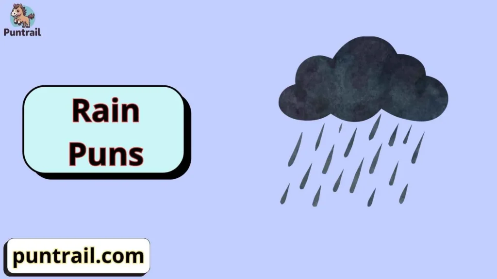 🌧️ Rain Puns One Liners