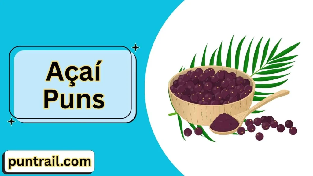 Silly Açaí Puns
