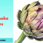 Artichoke puns