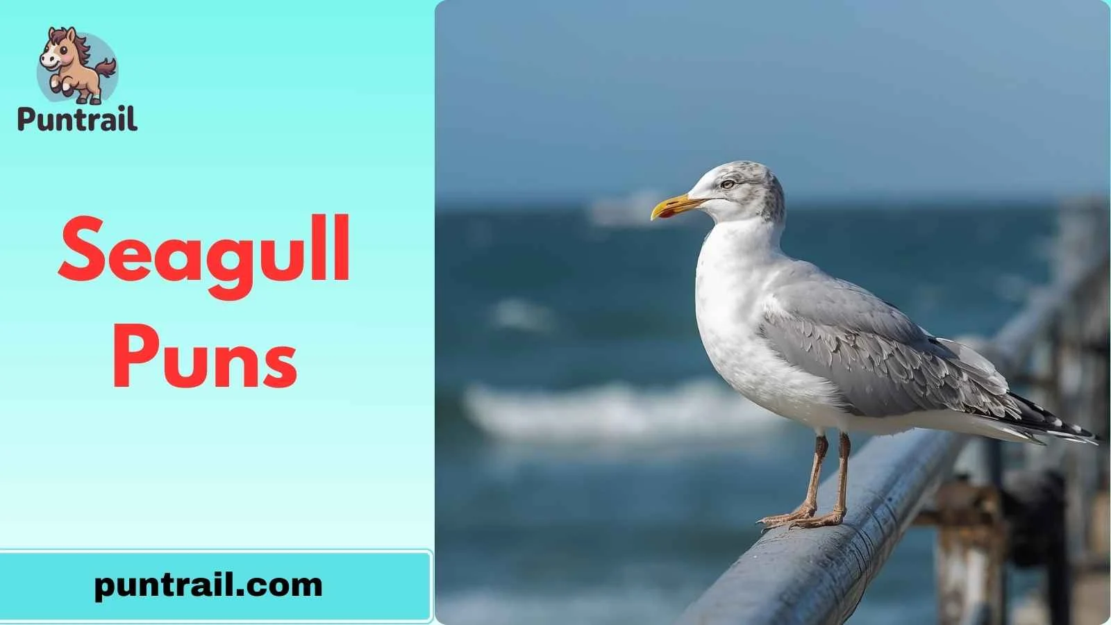 Seagull Puns