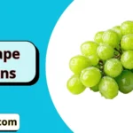 Grape Puns