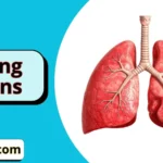 Lung Puns