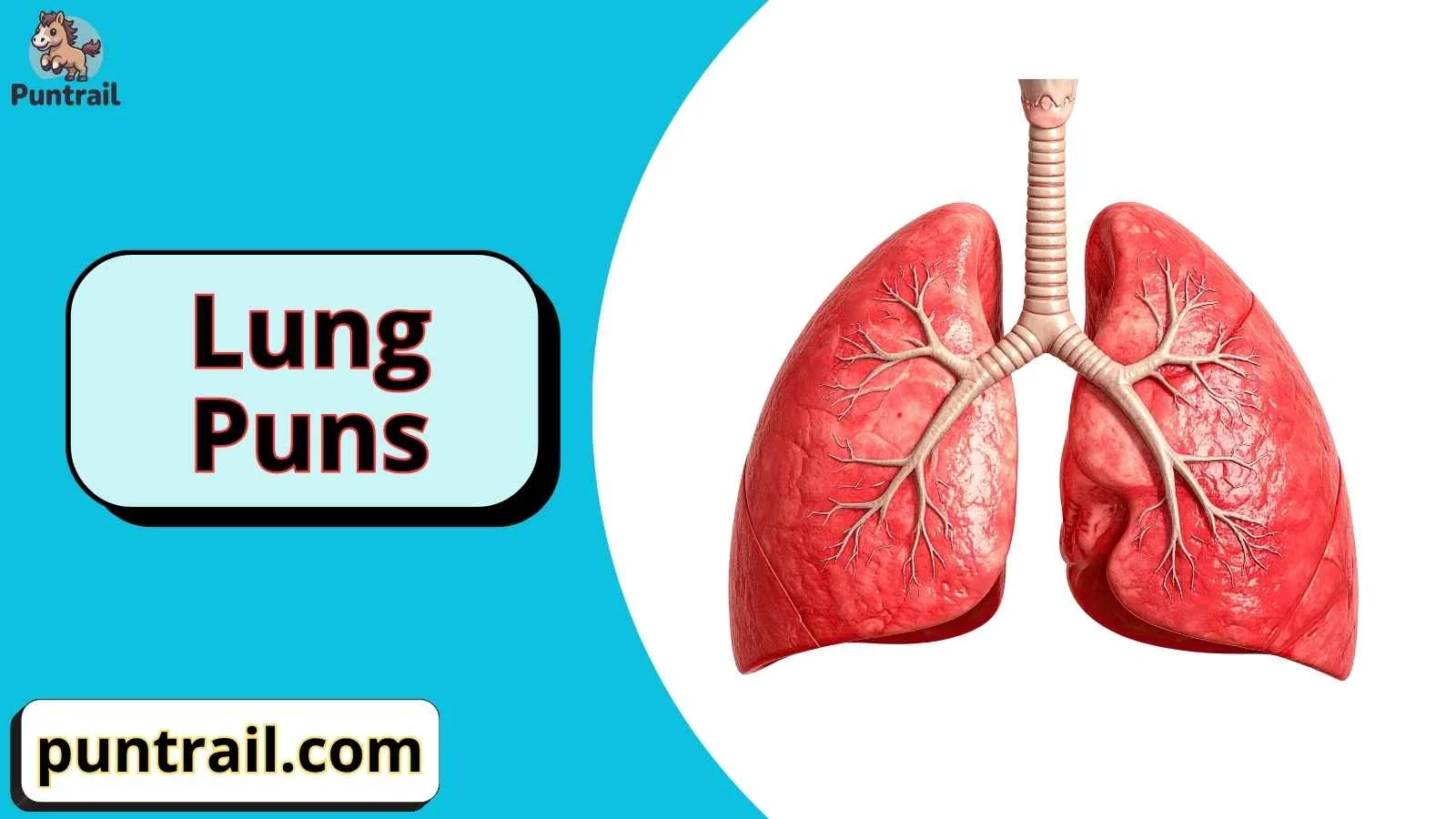 Lung Puns