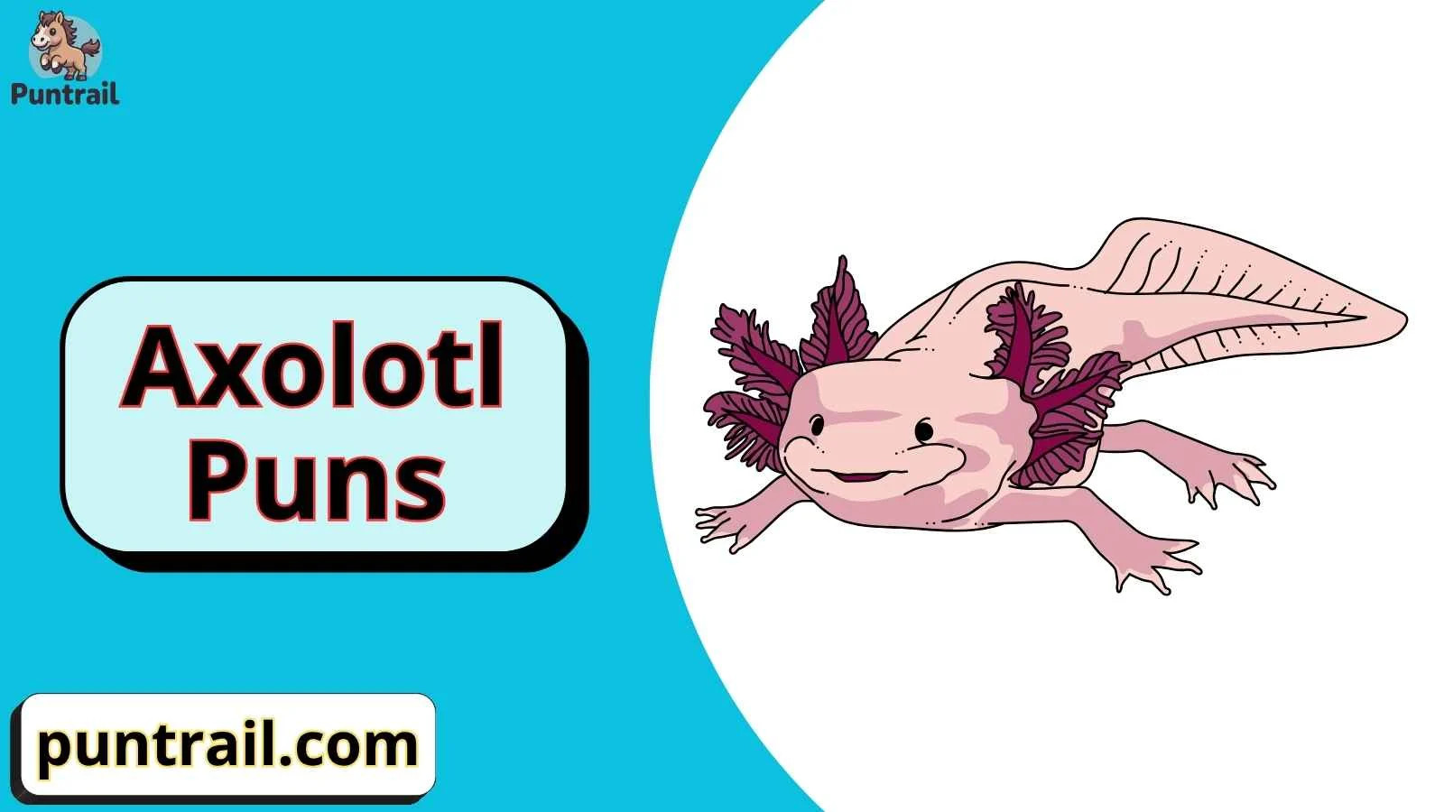 Axolotl Puns