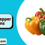 Bell Pepper Puns
