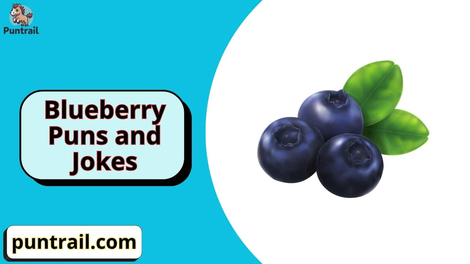 Blueberry Puns and Jokes