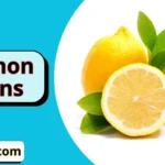 Lemon Puns