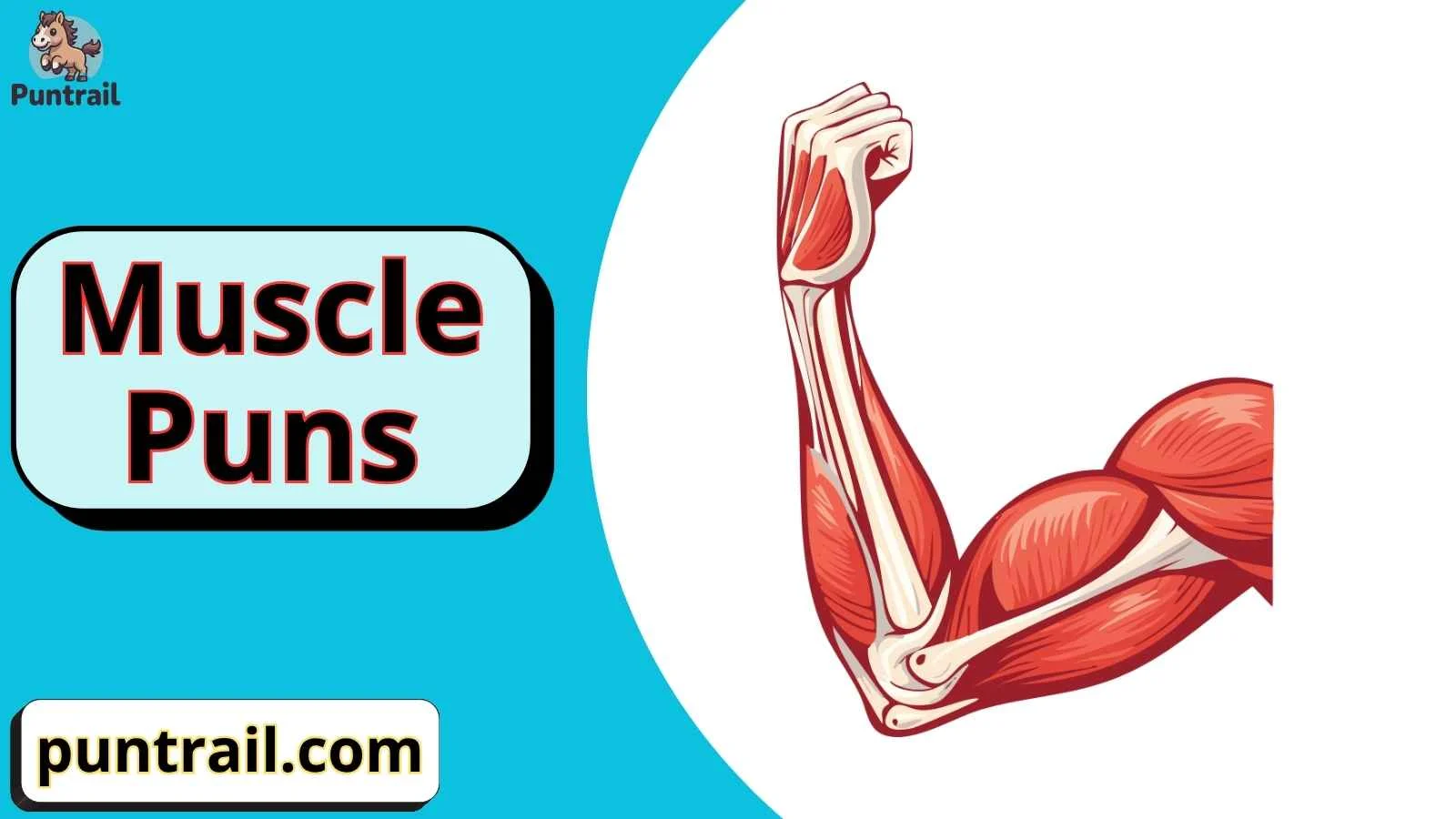 Muscle Puns
