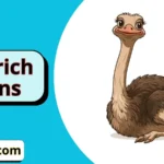 Ostrich Puns