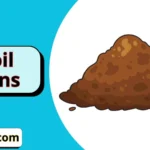Soil Puns
