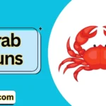 crab puns