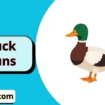duck puns