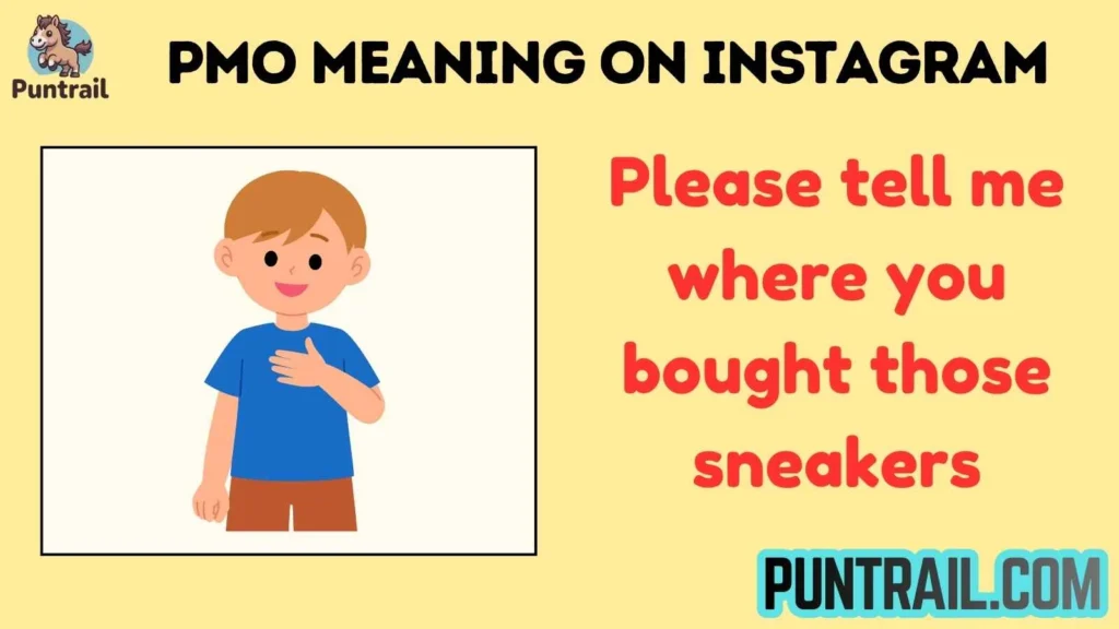 PMO Meaning on Instagram 