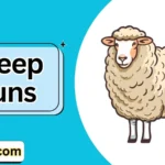 sheep puns