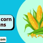 tope corn puns