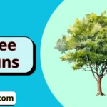 tree puns