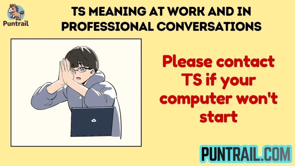 TS Meaning at Work and in Professional Conversations