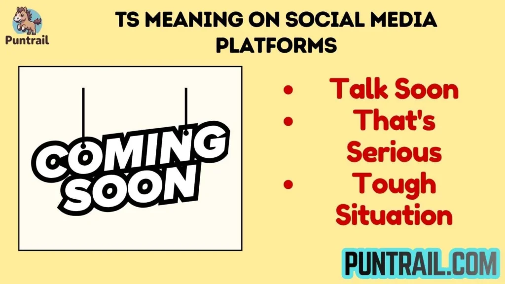 TS Meaning on Social Media Platforms