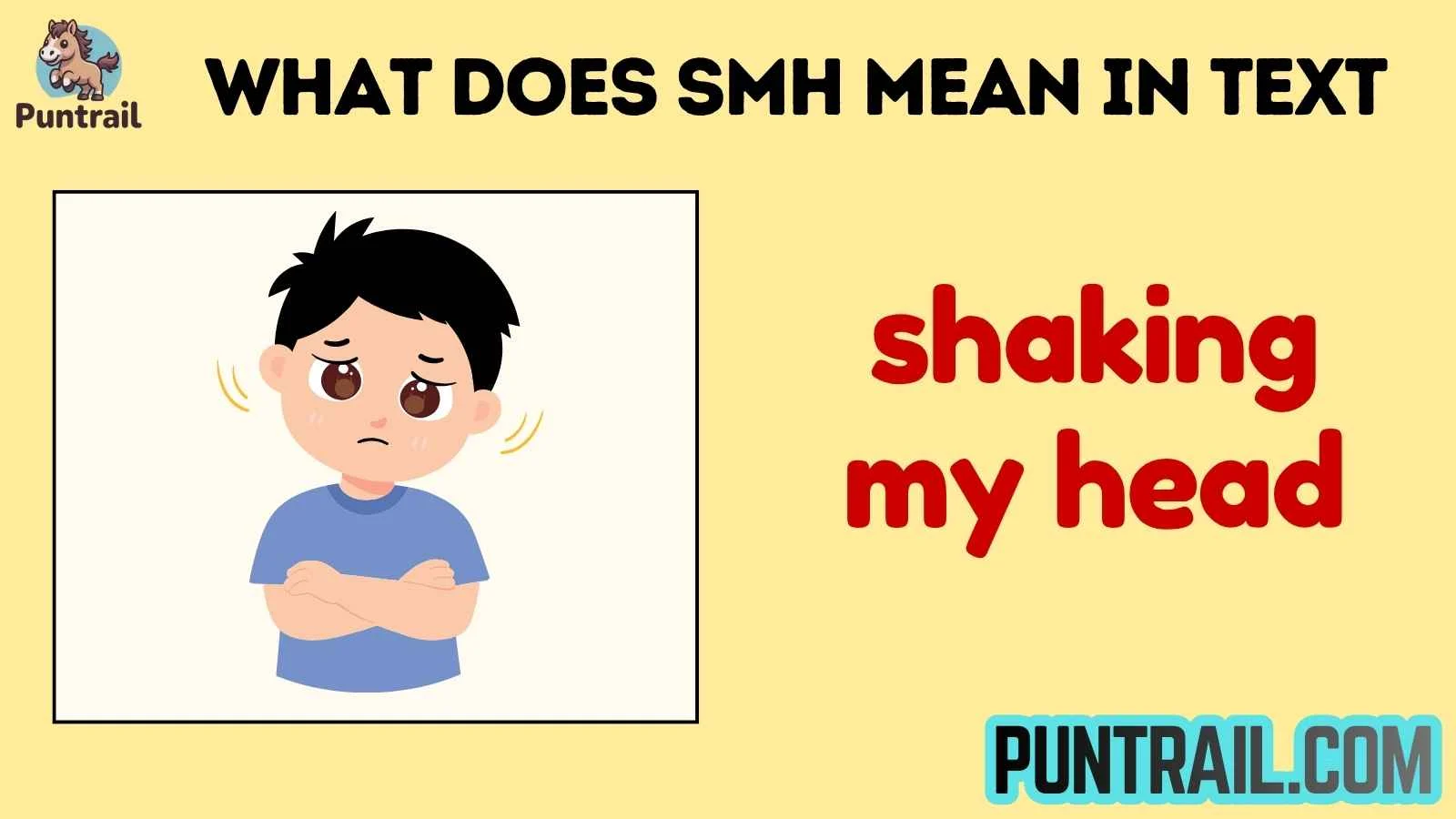what does smh mean in text