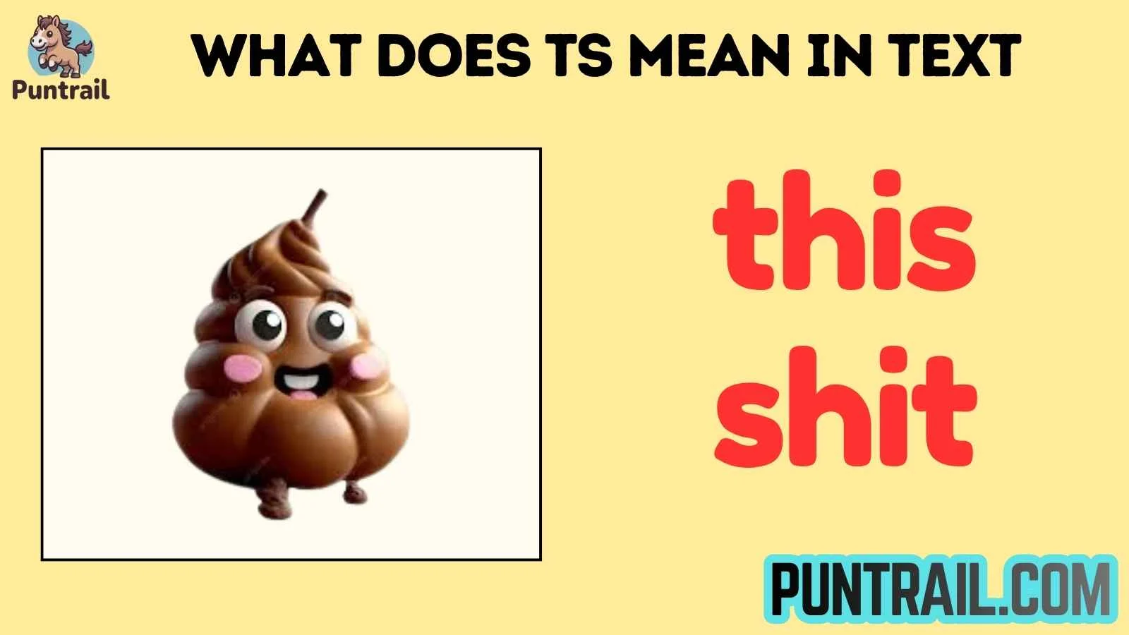 what does ts mean in text