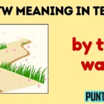btw meaning in text