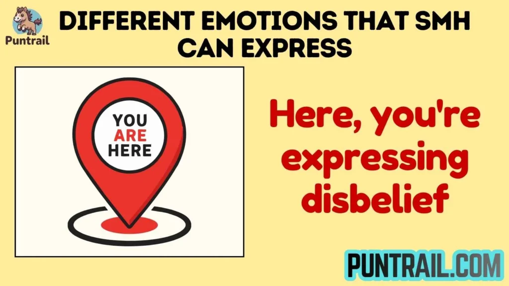 Different Emotions That SMH Can Express