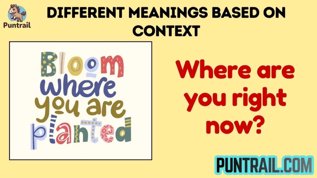 Different Meanings Based on Context