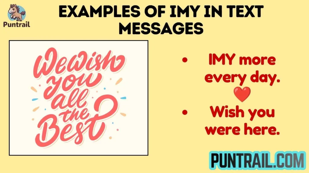 Examples of IMY in Text Messages