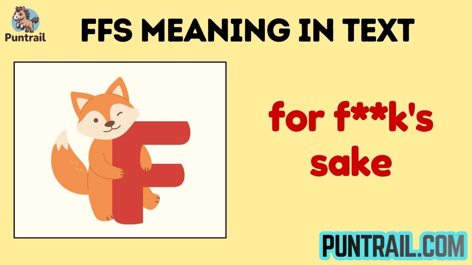 ffs meaning in text