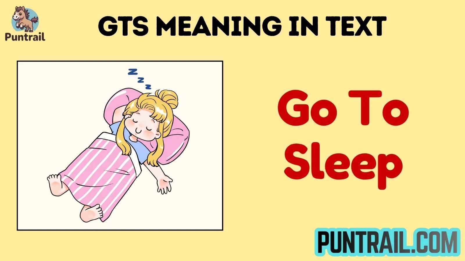 gts meaning in text