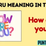 hru meaning in text