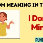 idm meaning in text