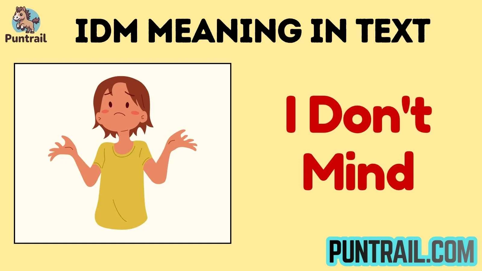 idm meaning in text