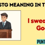 istg meaning in text