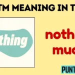 ntm meaning in text