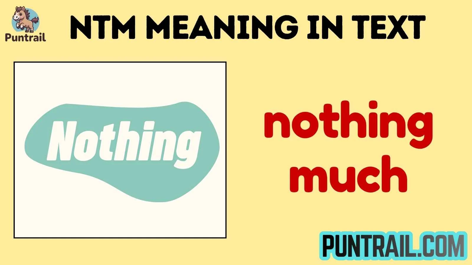 ntm meaning in text
