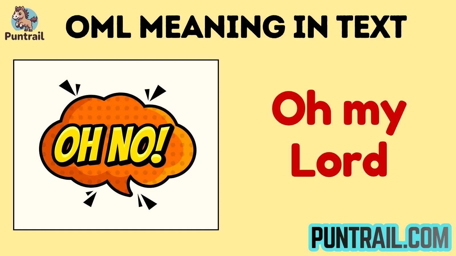 oml meaning in text
