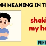 smh meaning in text